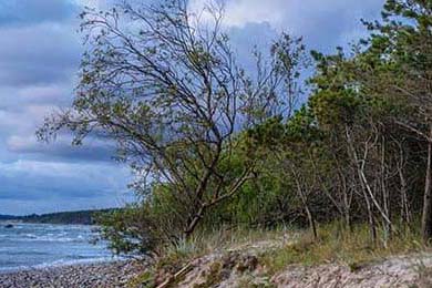 收下中国26万桶柴油，转头就改岛名？菲律宾：中国帮大忙，想谈合作